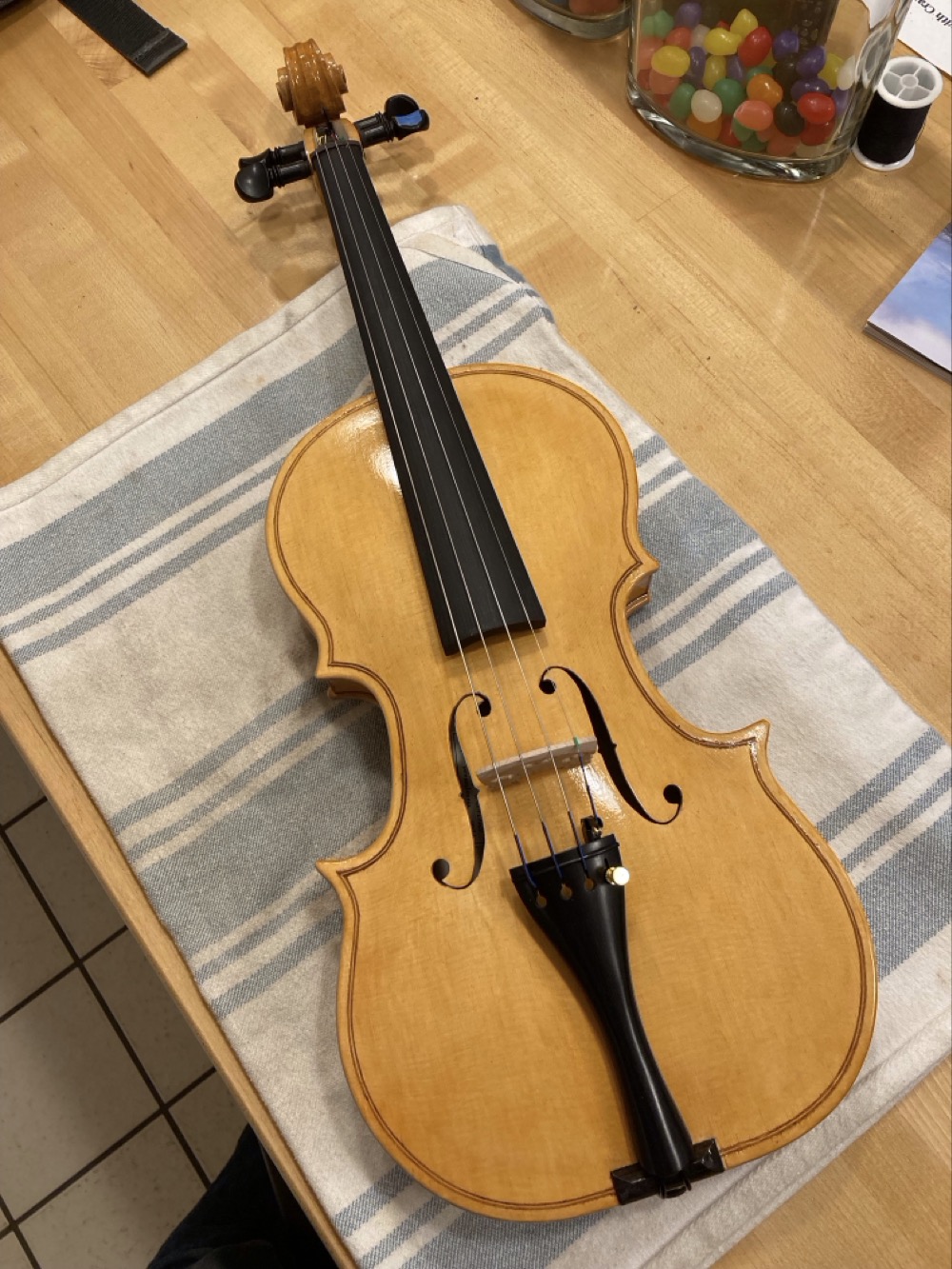 Violin